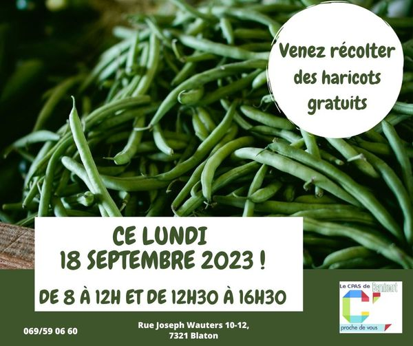 Lire la suite à propos de l’article [ GRATUIT ] DISTRIBUTION D’HARICOTS VERTS